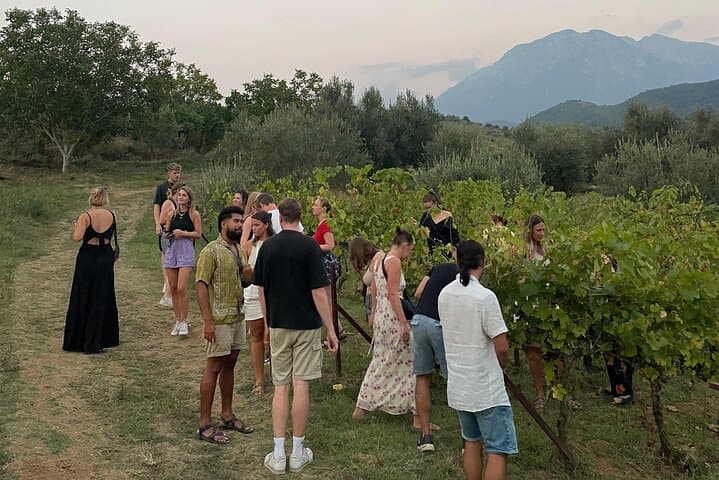 Taste Albania: Wine & Raki Tasting in Berat photo 6