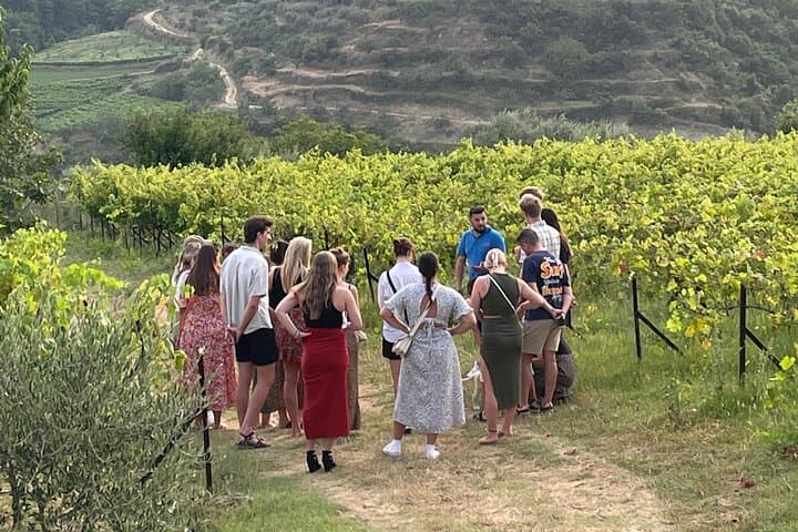 Taste Albania: Wine & Raki Tasting in Berat photo 4